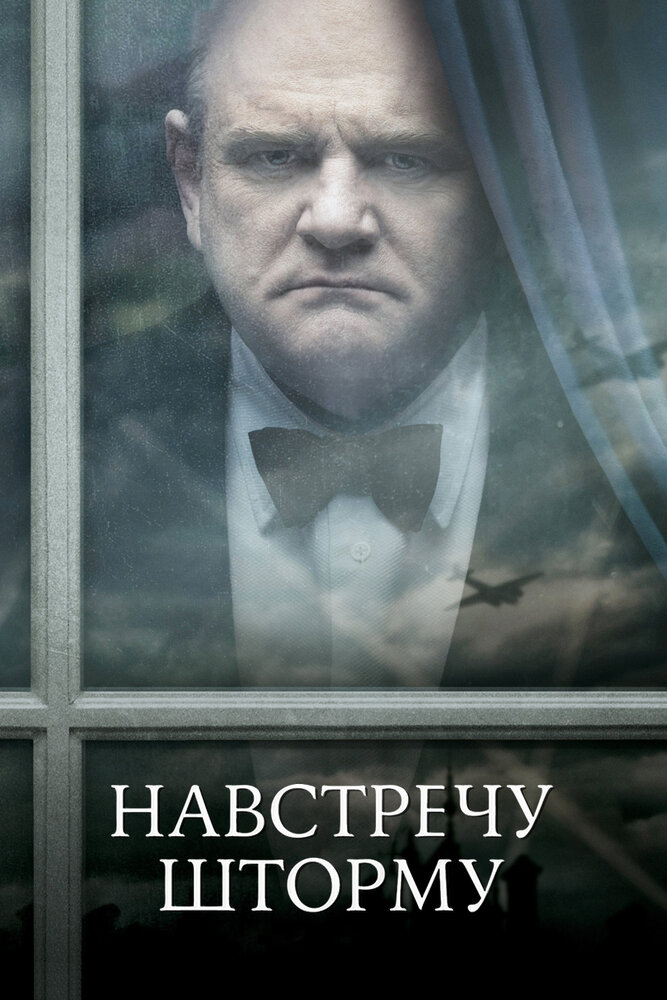 Навстречу шторму (2009) постер