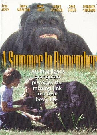 A Summer to Remember (1985)